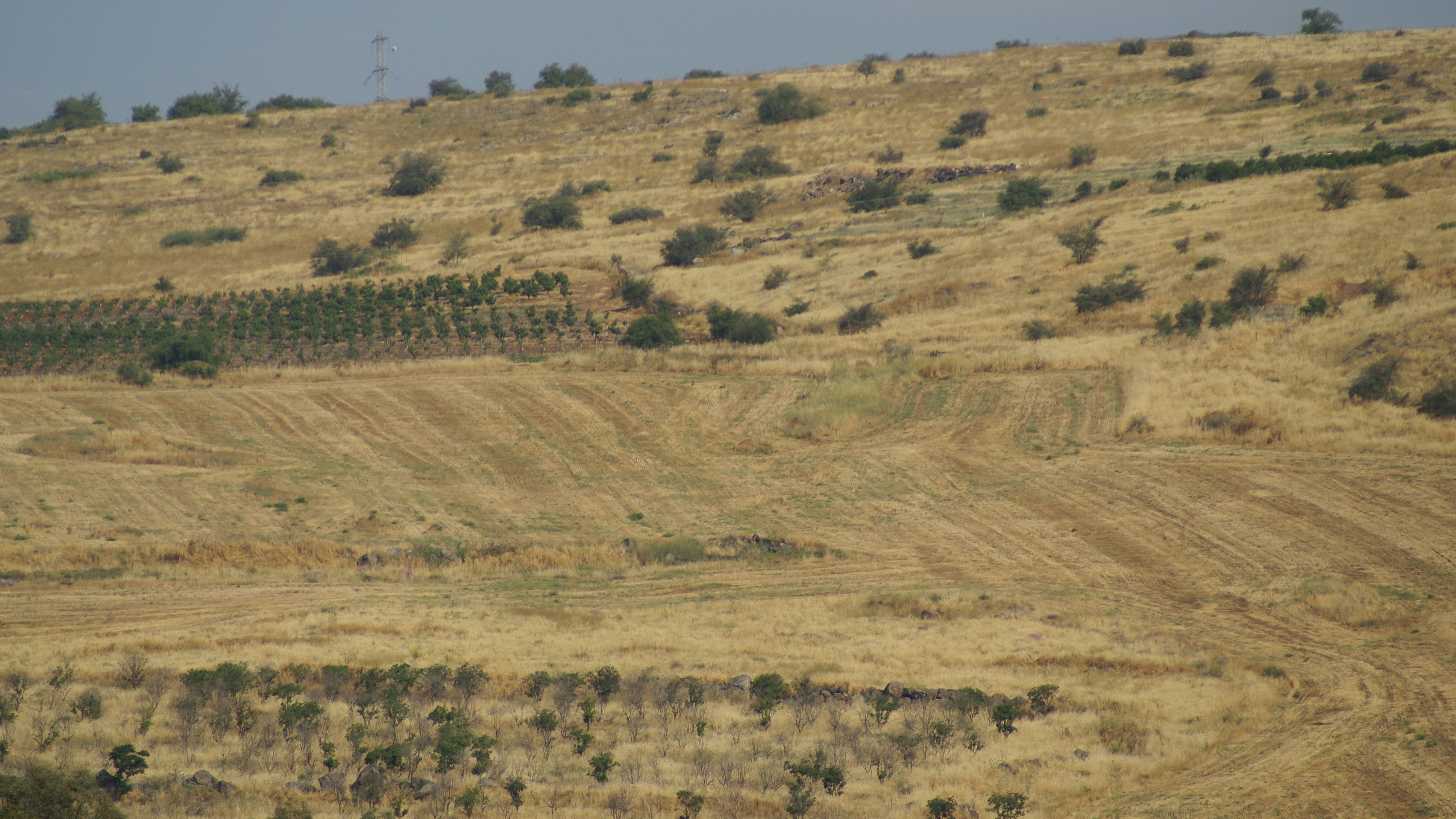 2 Israël Mei 2012 583