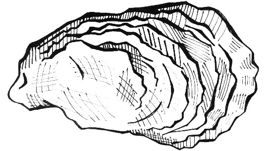 Oyster