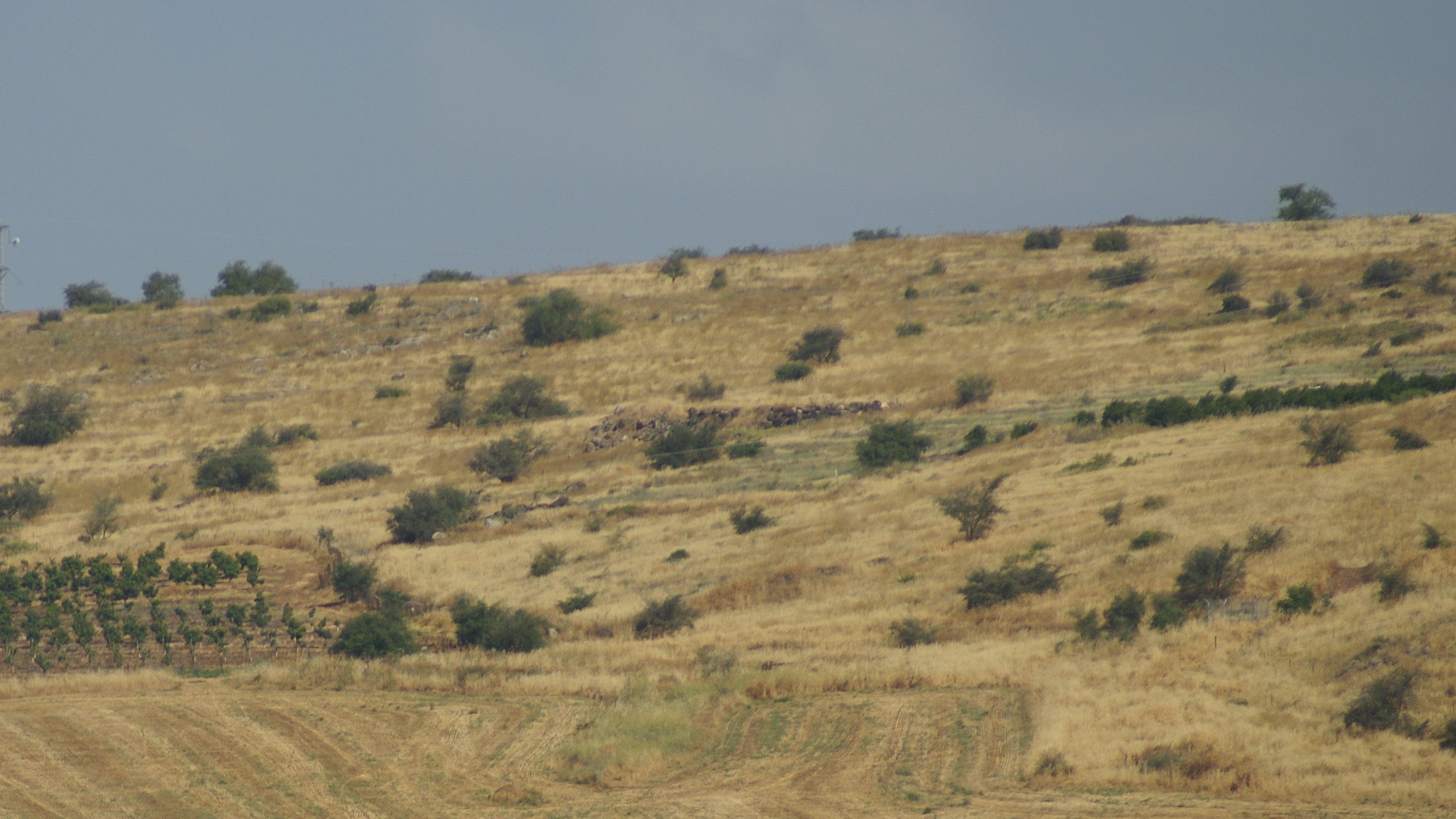 Israël Mei 2012 583