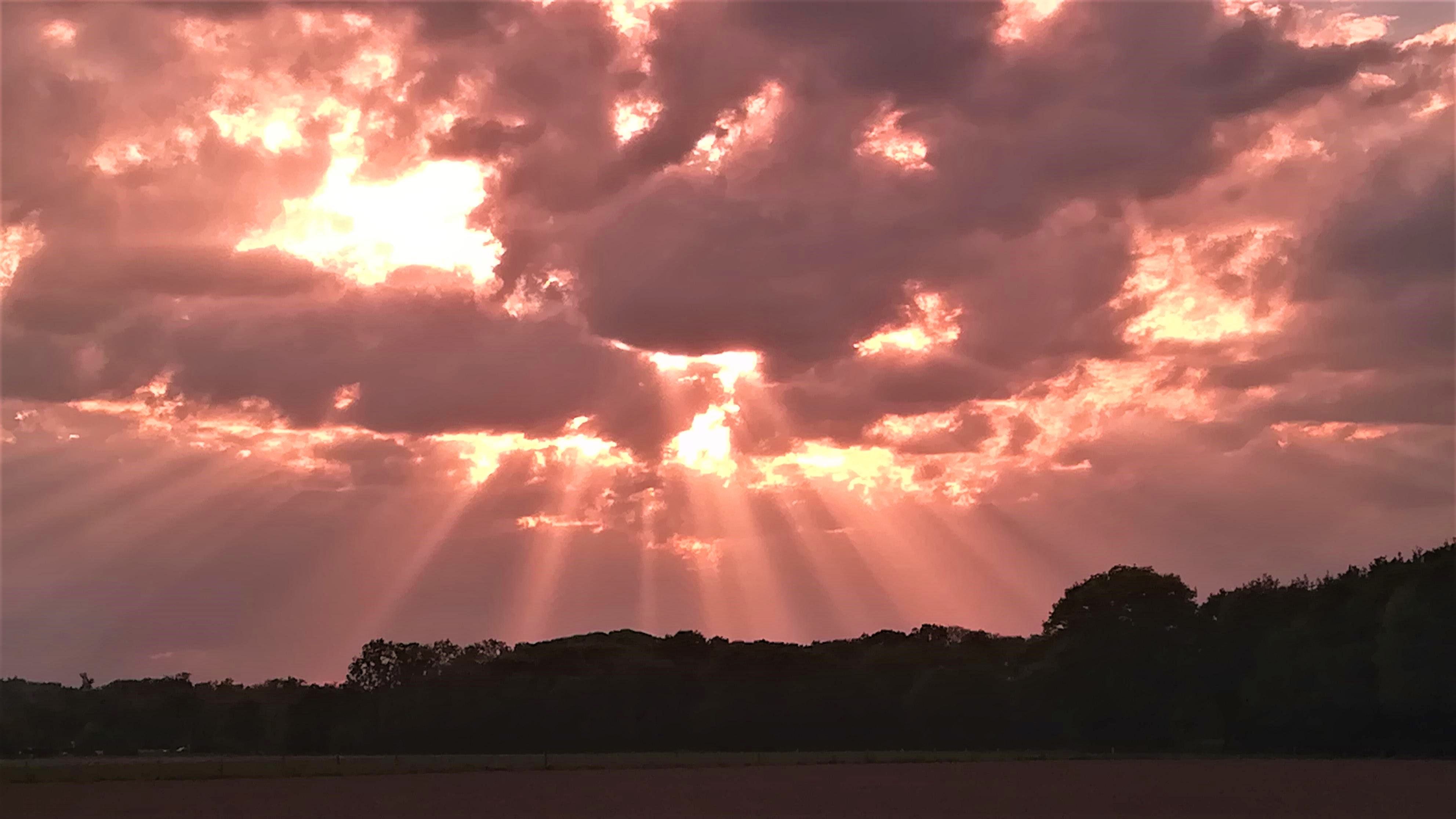 2 Zonnestralen